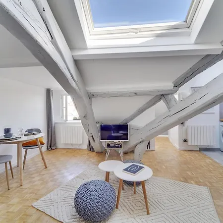 Les Mansardes Du Roi - Proche Chateau *