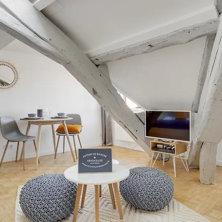 Les Mansardes Du Roi - Proche Chateau Versailles