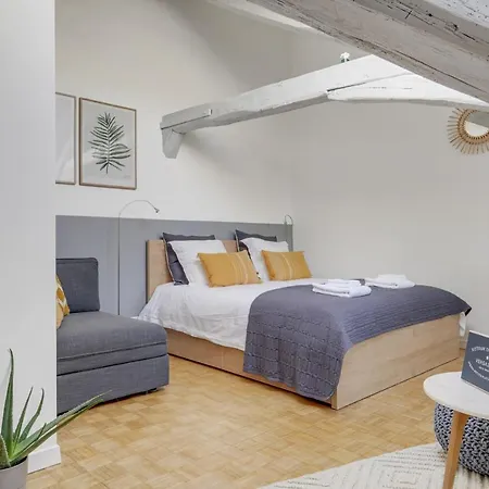 Les Mansardes Du Roi - Proche Chateau Apartmán *