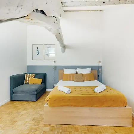 Les Mansardes Du Roi - Proche Château *