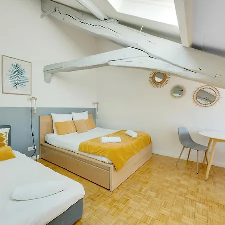 Les Mansardes Du Roi - Proche Chateau Apartment