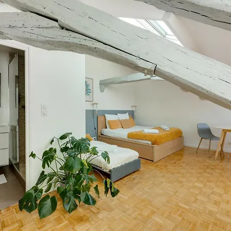 Les Mansardes Du Roi - Proche Chateau Versailles